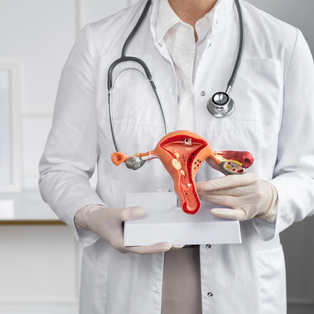 Γυναικολόγος Κοζάνης